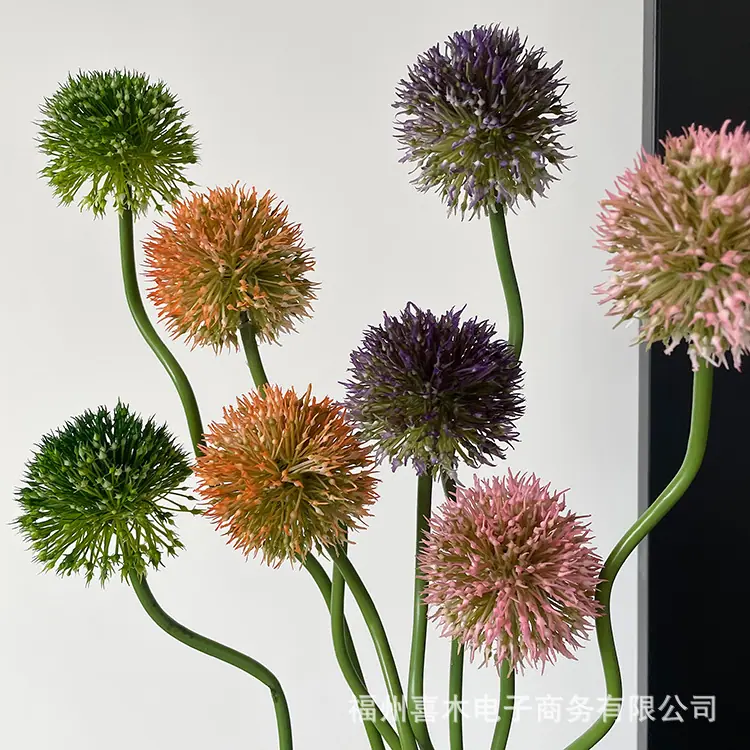 photo-output_8 2.JPG
