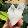 Adornos de Racimo de Cristal Blanco Natural, Pulseras de Piedra Cruda de Espina Dorsal de Cristal de Piña, Desmagnetización y Purificación, Decoraciones para Sala de Estar en Casa al por Mayor