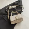 Bolso cuadrado pequeño de lujo ligero estilo coreano transfronterizo para mujer, nuevo bolso de hombro de mariposa invierno 2025, bolso cruzado de alta gama