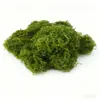 Césped de Musgo Artificial Simulado, Musgo Falso Filamentoso Biónico, Musgo de Lana Simulado, Seda de Musgo Artificial, Musgo Verde