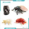 Simulación sólida Araña Naruto ciempiés modelo de insecto juguete para niños mariposa abeja animal decoración bandeja de arena