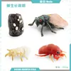 Simulación Transfronteriza Modelo de Araña Real Unicornio Insecto Juguetes para Niños Mariposa Abeja Adornos de Animales