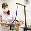 Cordão de Beleza para Cães Pet Care Banho com Lavagem, Corte e Auxílio de Secagem com Mesa de Beleza Cordão de Tração Corda de Beleza