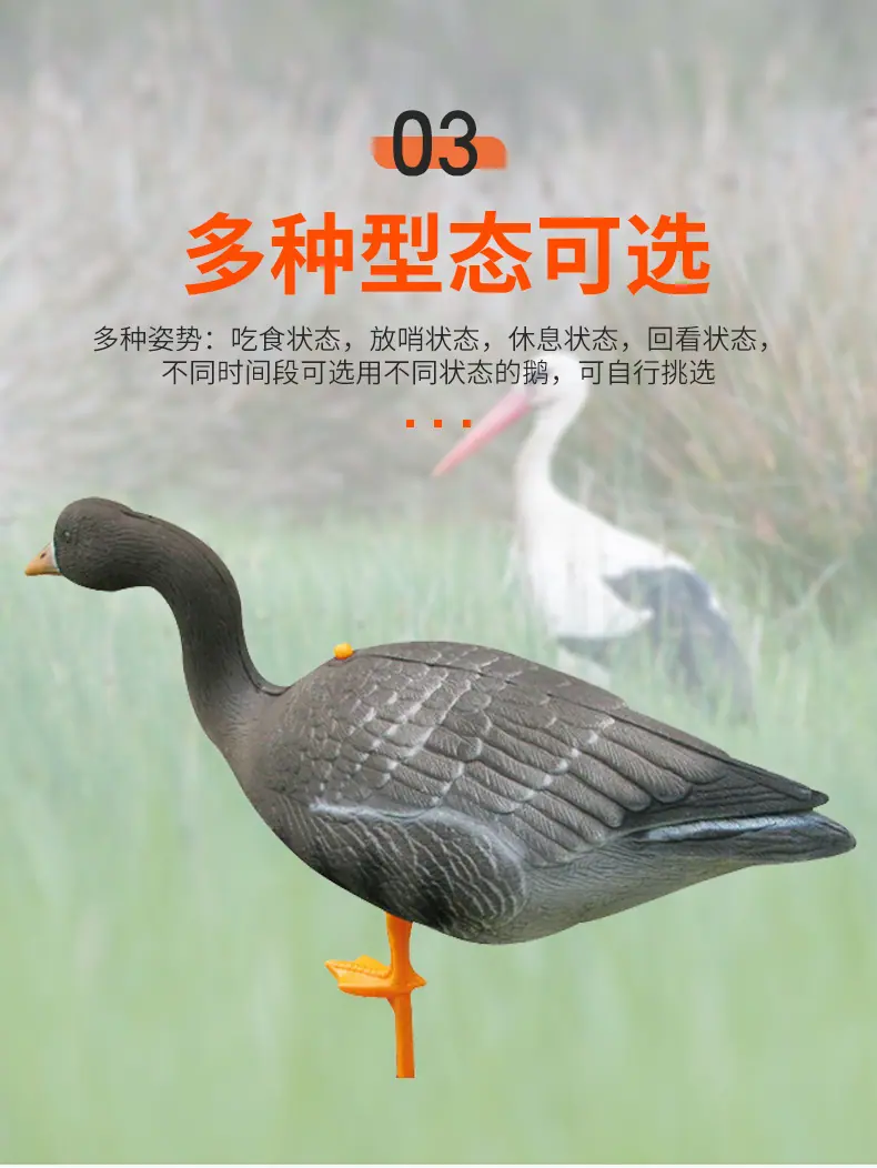 详情页_09.jpg