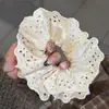 Elástico de Cabelo de Intestino de Porco Outono e Inverno Novo Estilo Faixa de Cabelo Mesmo Estilo de Xuyan Acessório de Cabelo Retrô Moda Estilo Coreano Corda de Cabelo para Rabo de Cavalo
