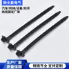 Cs03 Pp9102001 Cs-03-Md