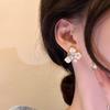 2024 Nuevos Aretes Explosiones Mariposa Zircón Diseño Nicho Aretes Avanzados Moda Elegante Aretes Combinables