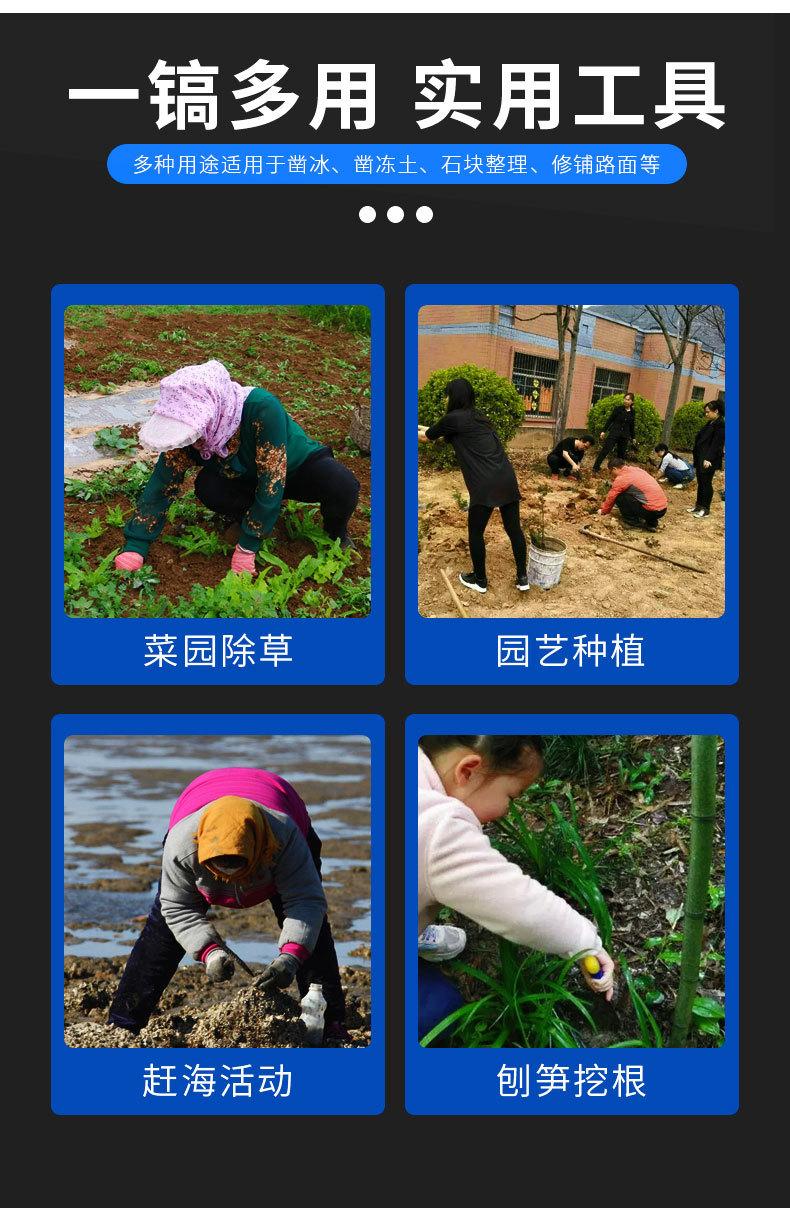 详情_06.jpg
