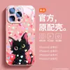 Gato Negro Estrella es adecuado para funda de teléfono móvil Apple 16 iPhone15promax carga magnética 14 vidrio con espejo