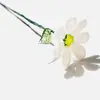 Alambre de Vidrio Zibo Flor de Nacimiento, Flor de Nacimiento de Diciembre, Flor Eterna, Adorno de Escritorio Artístico Similar al Vidrio