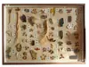 Dibujo de Muestra de Material Colgantes de Pared Adornos Ventana de Exhibición de Salón Chino Planta Pared Tridimensional Pintura Decorativa Hecha a Mano