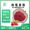 Polvo de Frambuesa, Polvo de Jugo de Frambuesa, Polvo de Fruta Liofilizada, Materia Prima para Bebidas Sólidas, Polvo de Reemplazo de Comida de Frutas y Verduras Certificado SC, Al por Mayor en Stock