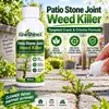 KineShineX Laje de Pedra para Jardim Removedor de Ervas Daninhas para Frestas Líquido Removedor de Ervas Daninhas para Frestas de Pedra e Tijolo
