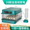 Incubadora Casa Inteligente Incubadora de Ovos Totalmente Automática Temperatura Constante Incubadora para Frangos, Frangos Rutin e Codornas