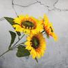 Simulación transfronteriza de 3 cabezas de girasol, flor de seda, centro comercial, flor falsa, decoración, flor de seda, ramo de boda, boda
