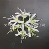 Novo Headdress de Lycoris Radiata Plumeria Presilha de Cabelo Estilo Férias na Praia Presilha Lateral Flores Florais Doces Fofos