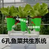 Equipo de Simbiosis Peces-Vegetales de Seis Agujeros, Sistema de Filtración para Cultivo sin Suelo, Caja para Cultivo de Vegetales en Balcón, Equipo de Plantación de Enseñanza para Padres e Hijos