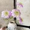Flores Artificiales Estilo Europeo Clemátide con 4 Cabezas, Degradado Bicolor, Decoración para Sala de Bodas Jardín de Monet, Arreglo Floral de Pasillo