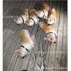 Filhote de Corgi em pé andando balão de alumínio barraca de atacado livro vermelho com xícara boba festa de balão de cachorro