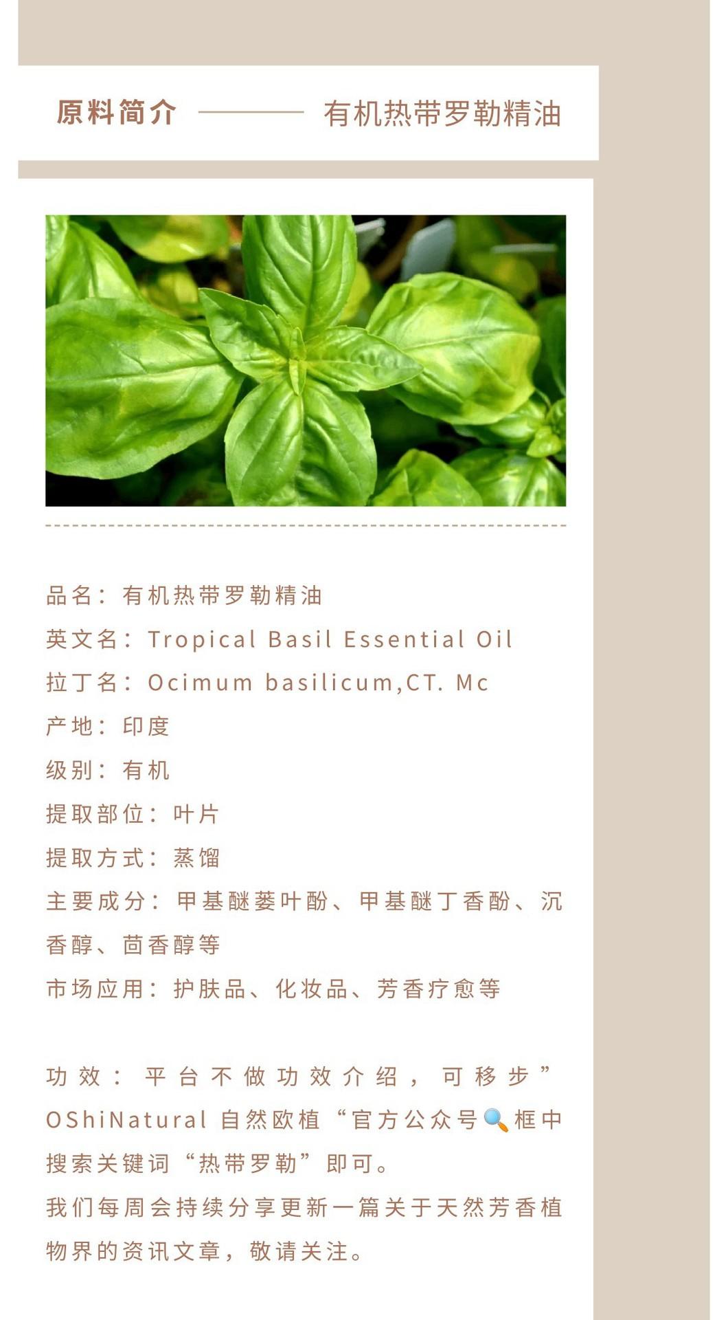热带罗勒精油.jpg