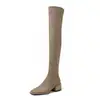 Botas de Cano Alto Simples e Slim para Outono/Inverno 2026 com Salto Bloco e Zíper Lateral, Sapatos Femininos Plus Size 34-42