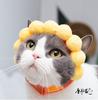 Nuevo conjunto de bufanda y sombrero para perro y gato de Halloween, patrón de calavera, conjunto de sombrero de capa para gato, accesorios