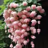 Semillas de Manzano Silvestre Llorón Fáciles de Germinar Siembra Cuatro Estaciones Floración Planta de Interior Exterior Flores Semillas de Plantas Transfronterizas