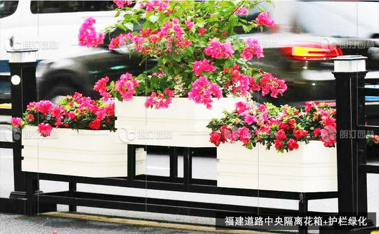 750PX_14.jpg