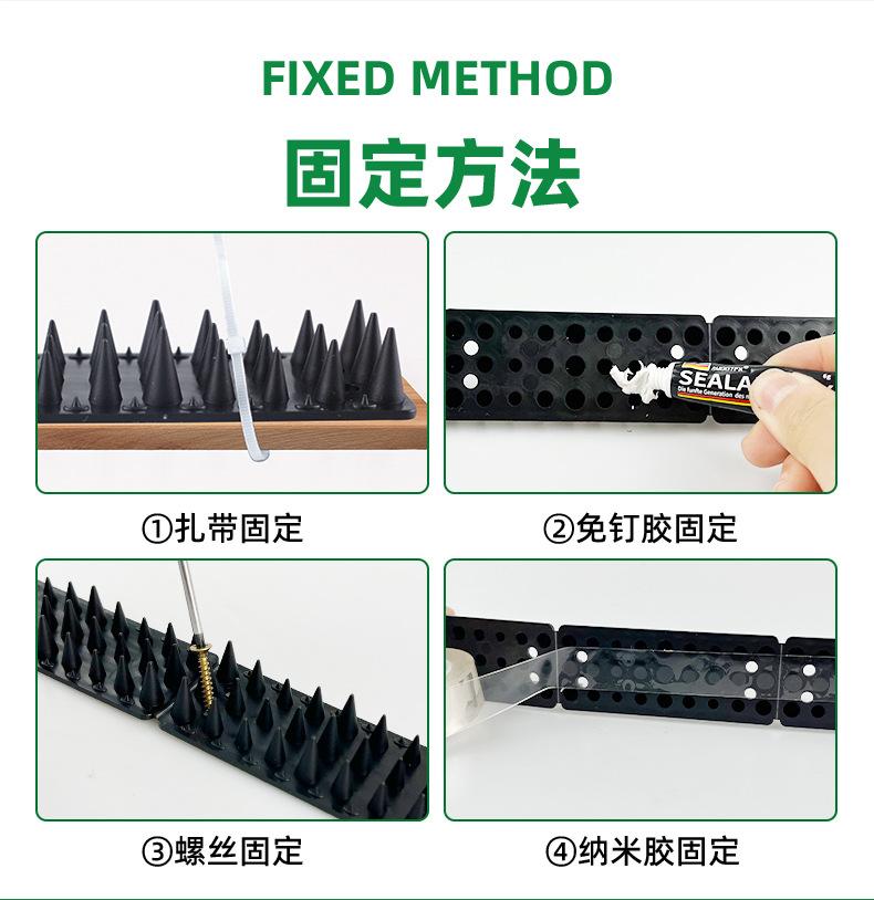 矮鸟刺详情_11