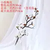 Galhos Artificiais de Flor de Ameixeira, Flor de Inverno, Árvore Falsa de Flor de Pessegueiro, Decoração de Mesa de Sala de Jantar, Arte com Flores Secas, Decoração de Bonsai Estilo Chinês