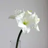 Simulación franela clivia flor de seda extra grande bermellón superior flor falsa sala de estar interior decoración de boda adornos venta al por mayor flor artificial