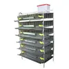 Jaula de Cría de Codornices Tipo H Vertical de 6 Niveles Puede Limpiar Automáticamente Excrementos, Alimentar, Beber y Criar Polluelos de Carne en Jaulas Multinivel