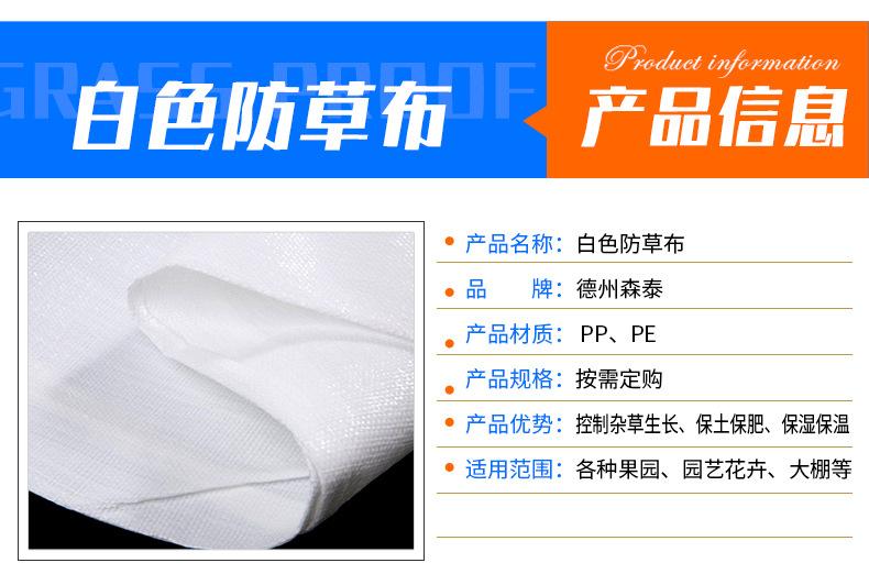白色防草布_07