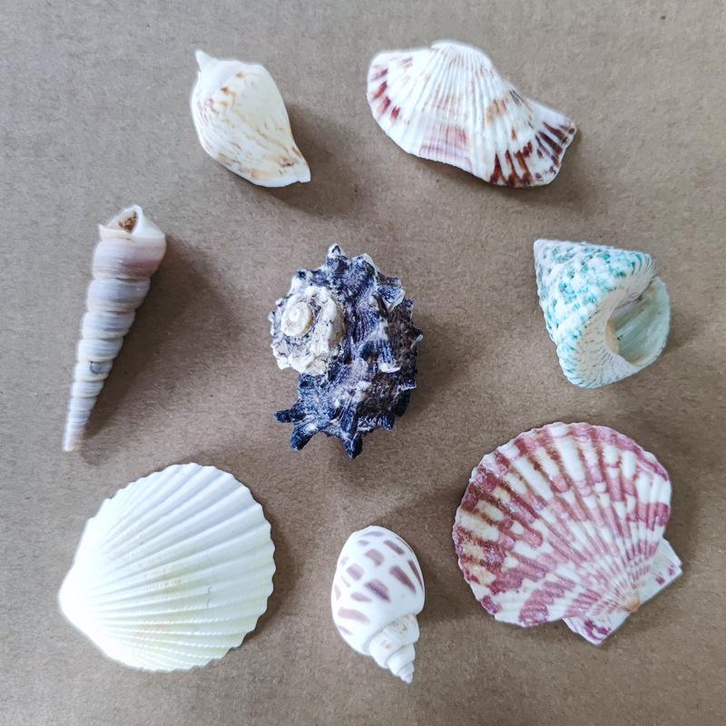 6个不重复主图5