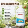 Directamente del fabricante: fertilizante soluble en agua específicamente formulado para frutas, verduras y cultivos, que contiene cobre, hierro, manganeso, zinc y boro. Ofrecemos envío directo para este producto