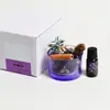 Vela Aromática de Copa de Vidrio, Aceite Esencial de Cera de Soja, Regalo Creativo para Dormitorio, Aromaterapia sin Llama, Ambiente de Dormitorio de Alta Gama