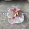 Alta qualidade Phalaenopsis Flor Cabeça Pétala Mão Caixa de Presente Handmade DIY Falso Decoração Do Bolo Da Flor Decoração Do Cartão Do Cabelo