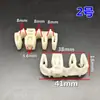 Chasis de Carrocería Arnés de Cables de Tubería de Aceite Tubería de Agua Tubería de Hierro Espaciador Clip de Plástico Fijo Clip de Hebilla Hebilla de Goma