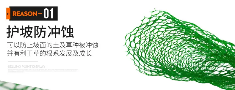 三维植被网_04.jpg
