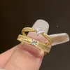 Anillo Liso Versátil y Exquisito con un Toque de Alta Gama, Popular Anillo de un Solo Diamante Cepillado Estilo Vintage para Mujer, Lujo Ligero