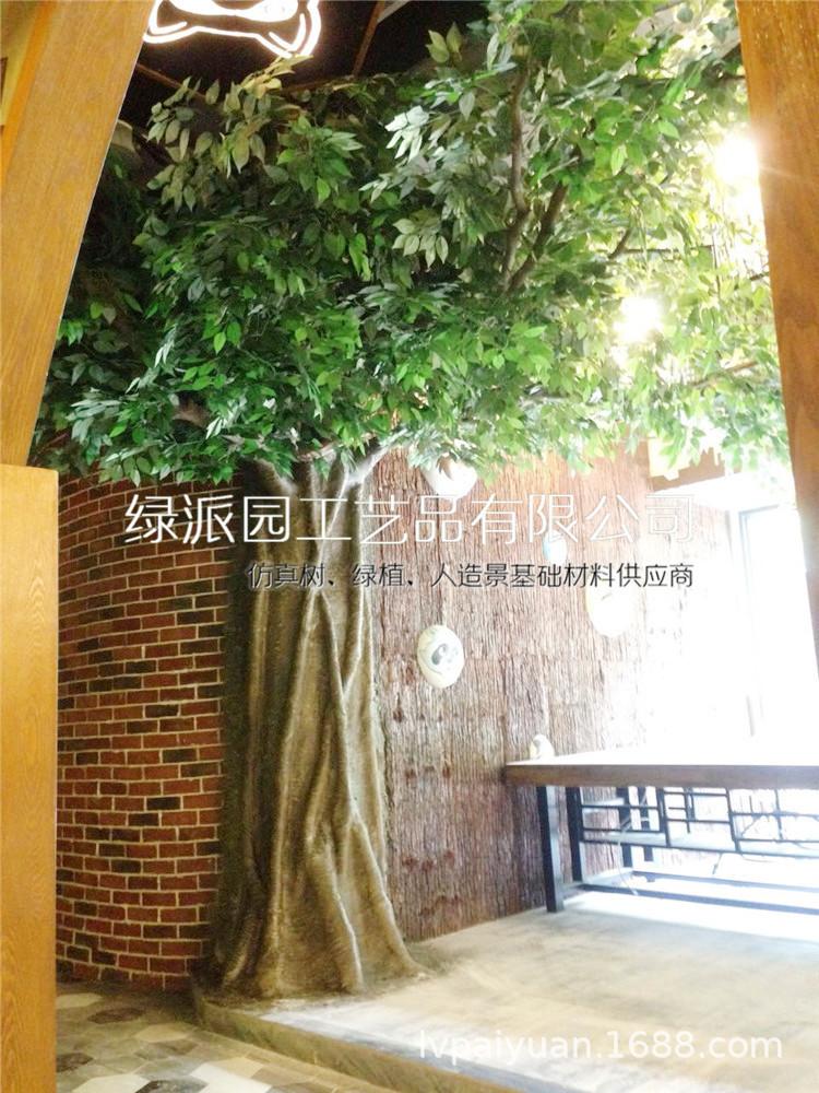 榕树049.jpg