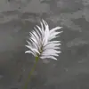 Planta Verde Simulada Hojas Ricas Lugar de Reunión de Boda Material de Ajuste Suave Fondo Camino Flor de Inserción Liderar Flor de Seda Hotel Flor Decorativa