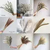 Pinha Flores Secas Artesanais Adereços de Fotografia Materiais Florais DIY Decorações para Sala de Estar Presentes de Natal
