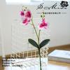 Nueva película de impresión 3D con fruta, 5 flores, orquídea mariposa, suministro directo de fábrica, planta, decoración de interiores, flores falsas