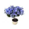 Plántulas de Copo de Nieve Azul Macetas Floración de Balcón Observación de Flores Plantas Resistentes al Calor y Fáciles de Cultivar Jardín Patio Enredaderas Trepadoras Enredaderas de Flores Trepadoras Copos de Nieve Blancos