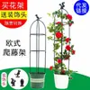 Enrejado para Clematis Trepador, Soporte para Flores de Rosa, Soporte para Plantas Trepadoras de Jardinería, Estructura de Soporte Trepador para Balcón, Soporte para Flores Estilo Europeo
