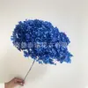 Flor Preservada Haste Única Hortênsia Anna Anna Folha Pequena Bella 40 Cores Personalizado Atacado Presente Dia dos Professores