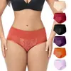 Comercio Exterior Transfronterizo Ropa Interior para Mujer Tallas Grandes Amazon Seleccionado Ropa Interior para Mujer de Encaje Bikini Bragas para Mujer Europeo y Americano
