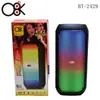 Exportación transfronteriza nuevo altavoz Bluetooth inalámbrico de doble 4 pulgadas BT-2429 lámpara de llama RGB audio portátil para exteriores