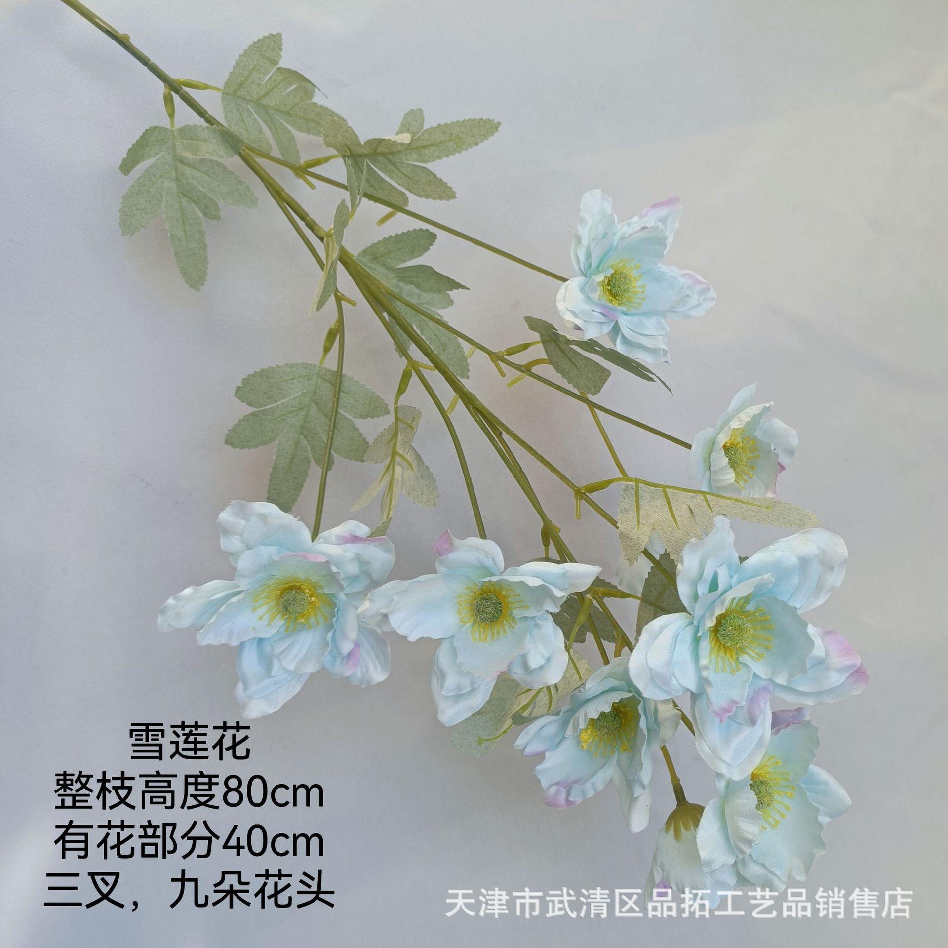 025311ba422d70fb4397dd470f3ac7